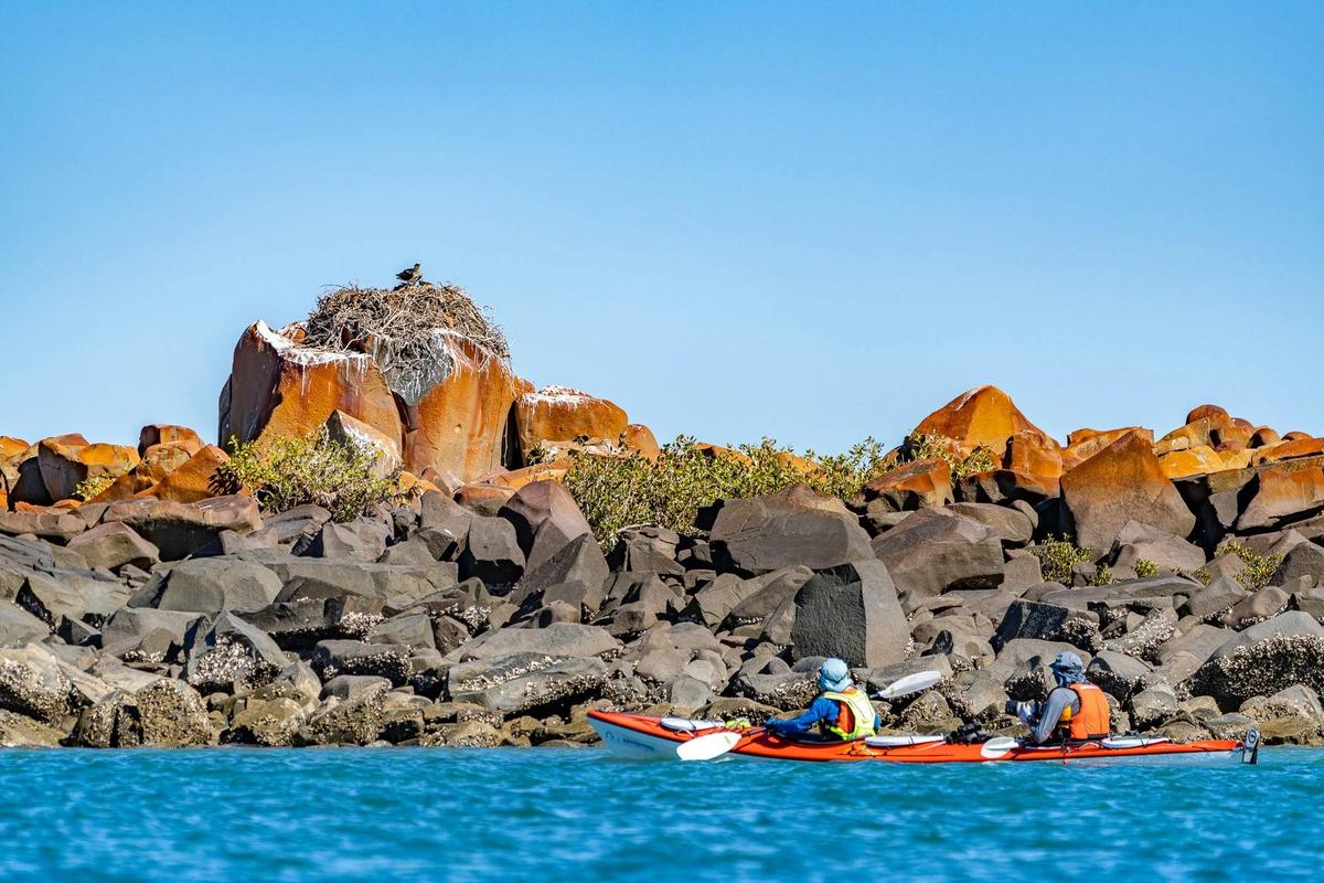 Dampier Archipelago and Murujuga - 6-Day Sea Kayaking Expedition