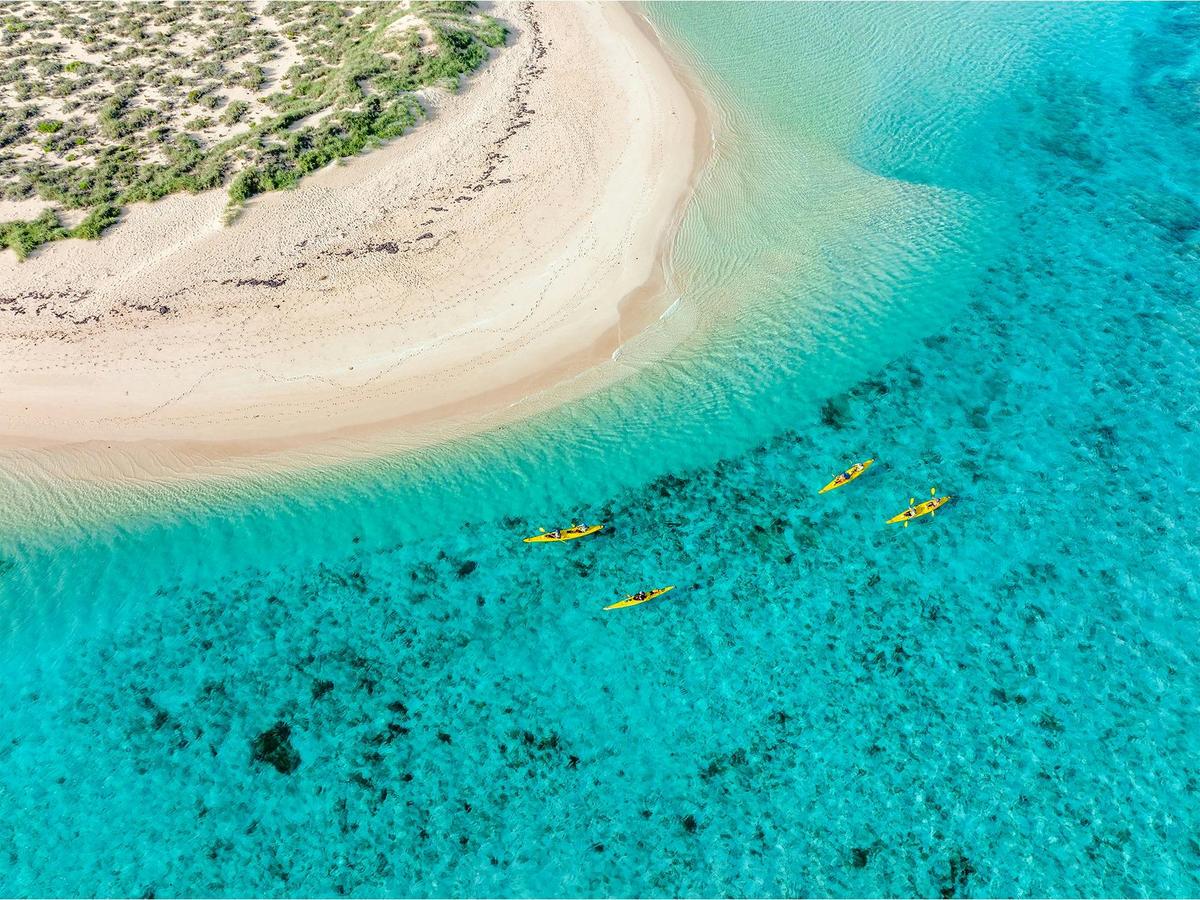 Ningaloo Odyssey - 4-Day Trek and Kayak Expedition