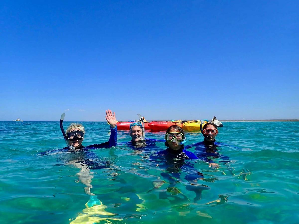 Turtle Tour - Half Day Sea Kayak and Snorkel Tour