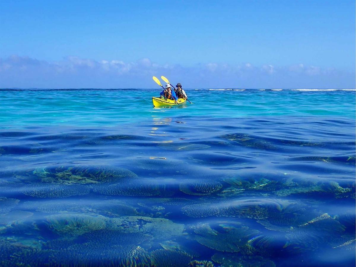 Exploring Ningaloo