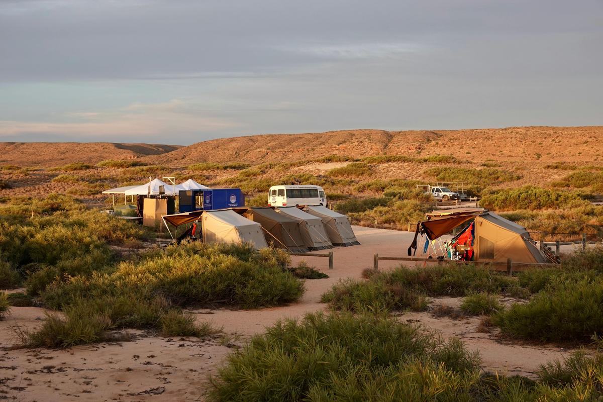 5-Day Ultimate Safari Tour