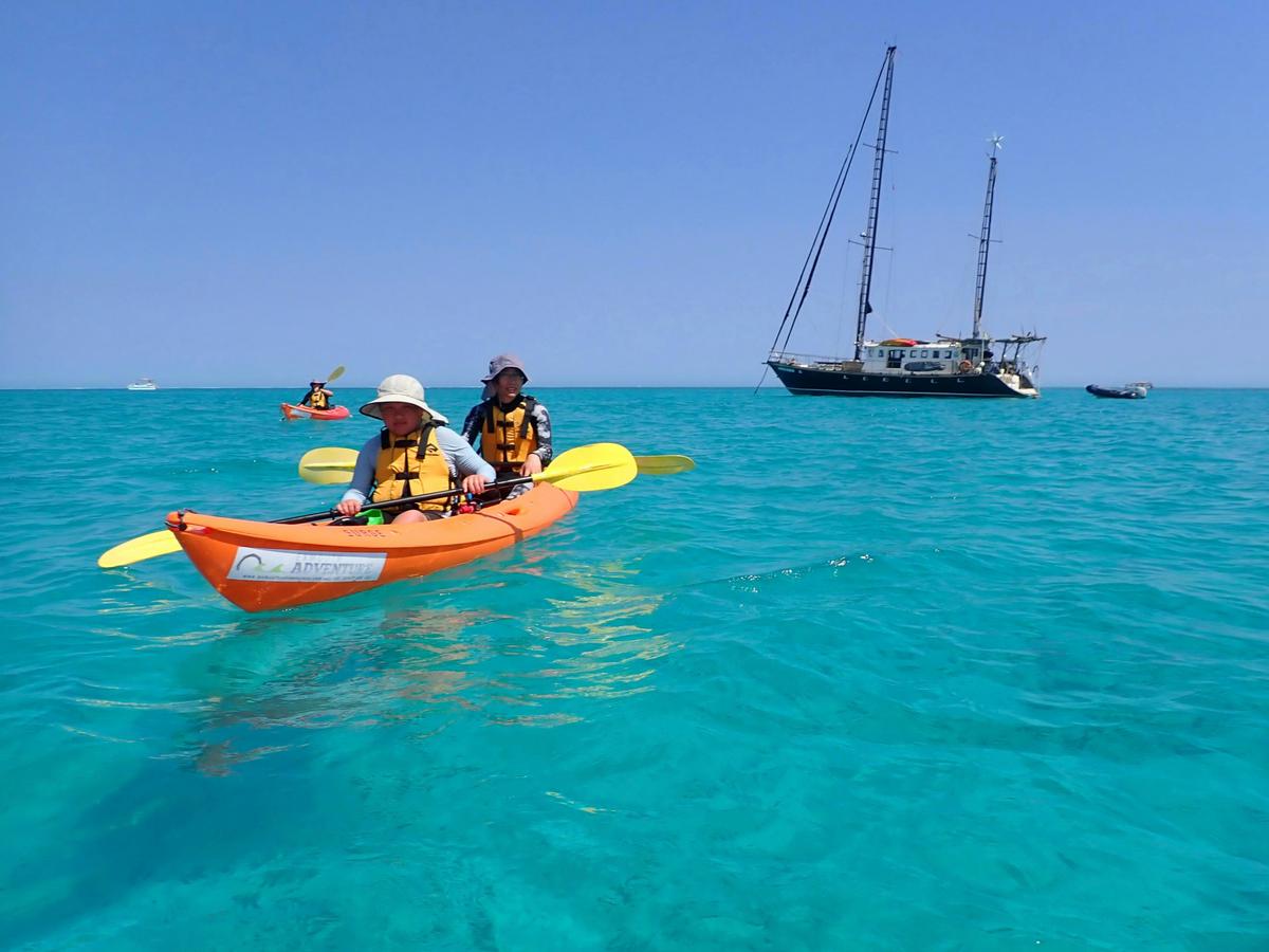 Coral By Kayak