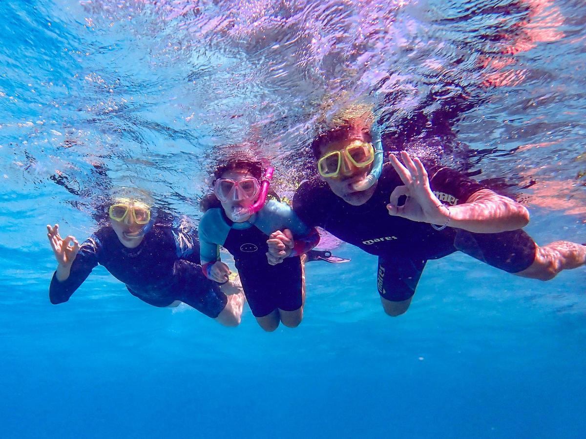 Turtle Tour - Half Day Sea Kayak and Snorkel Tour