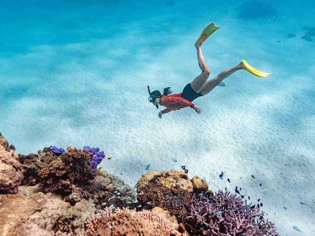 Ningaloo Odyssey - 4-Day Trek and Kayak Expedition