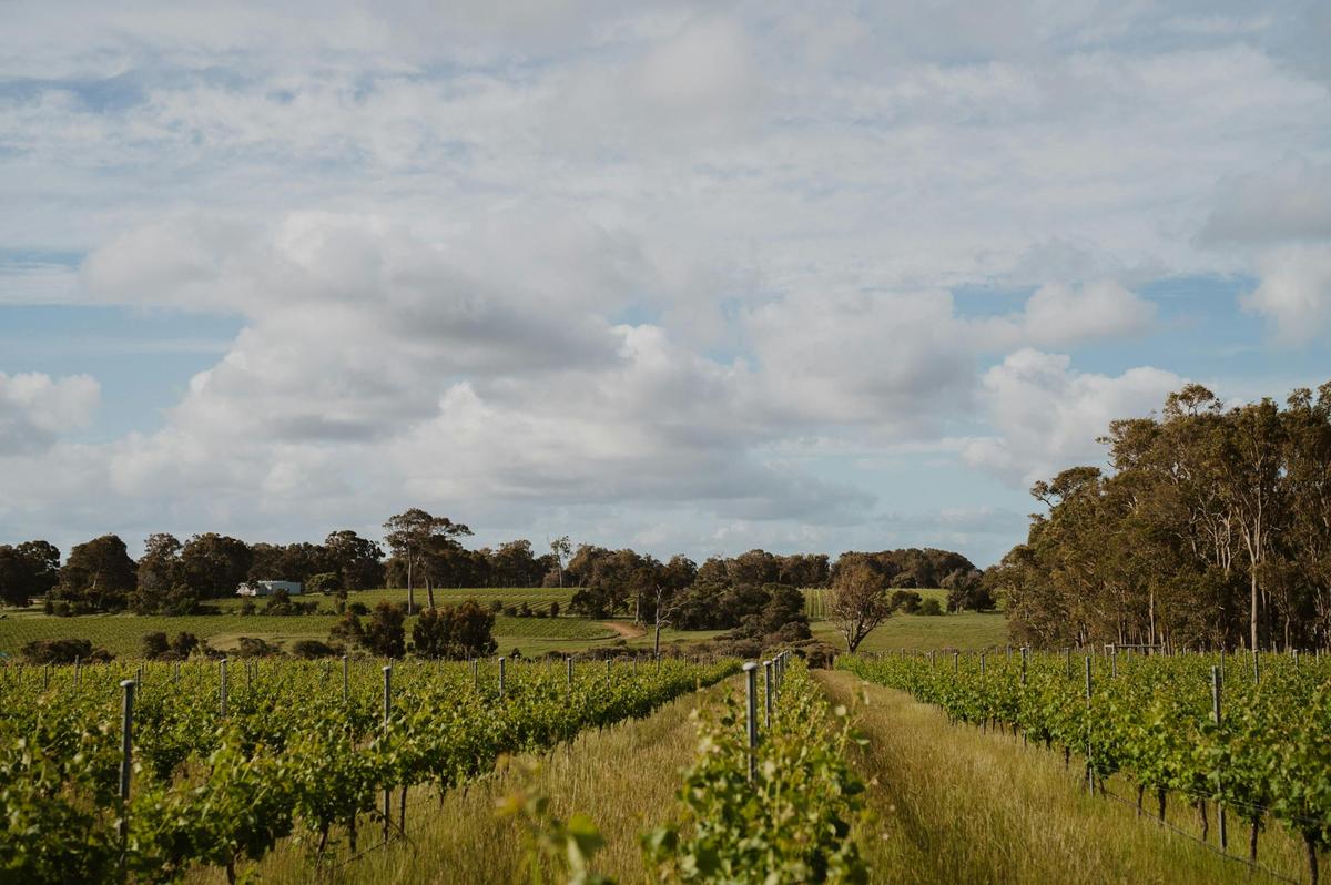 Fishbone Wines