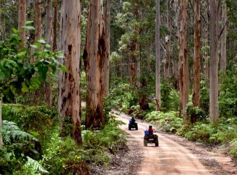 Ecoadventures Margaret River