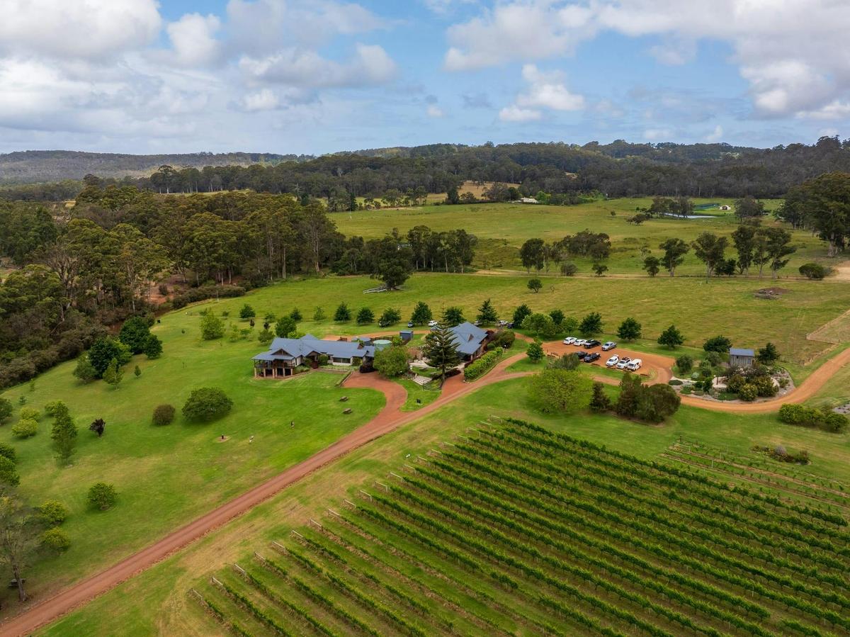 Singlefile Wines Vineyard