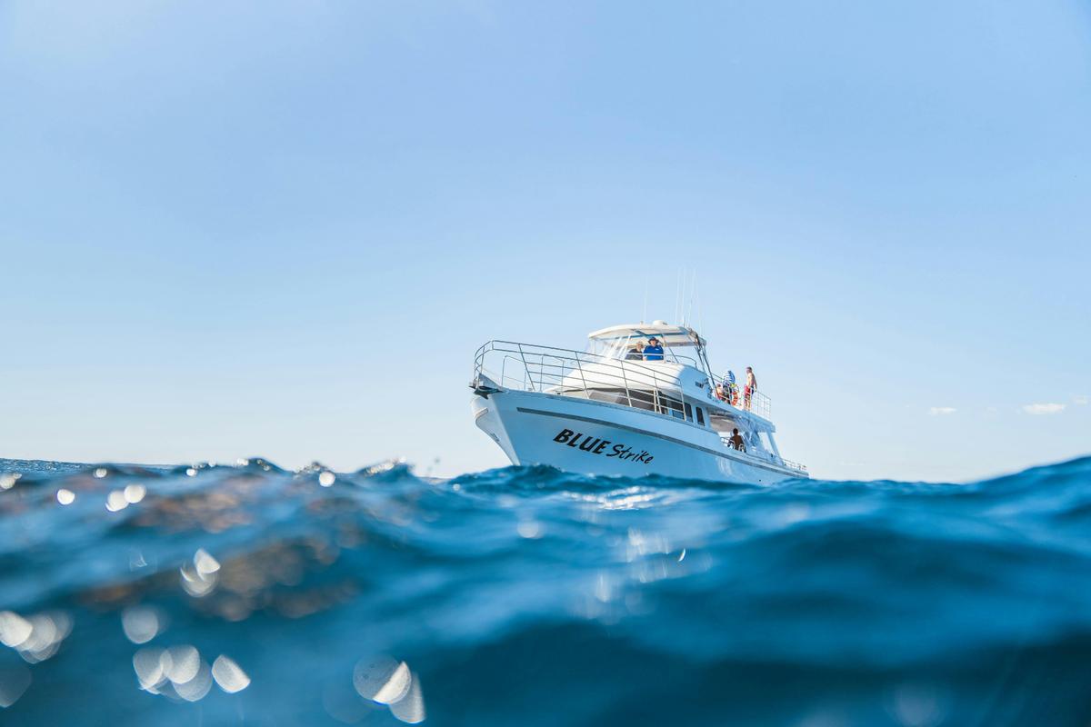 Your experience at Emouth Dive & Whalesharks Ningaloo