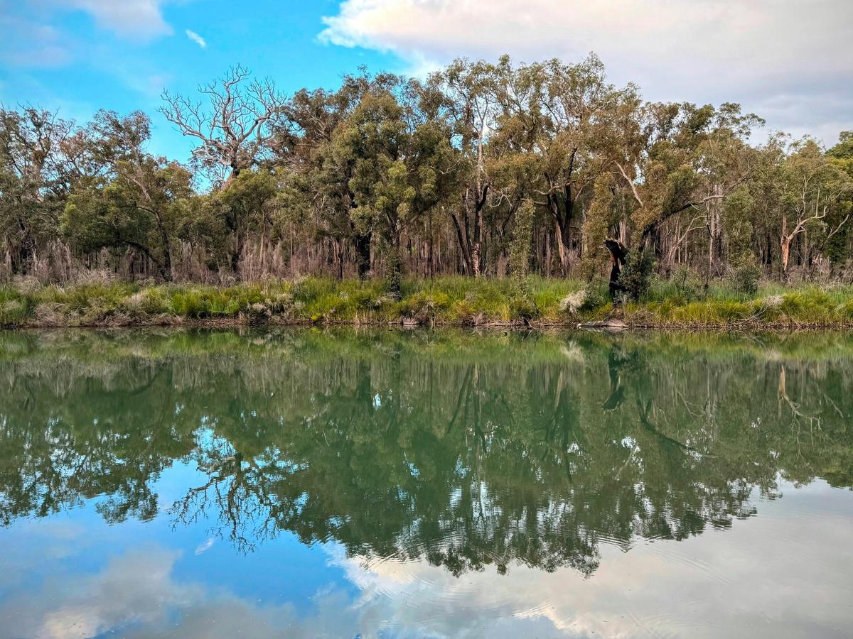 Canebrake Pool