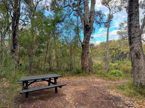 Canebrake Pool Campground