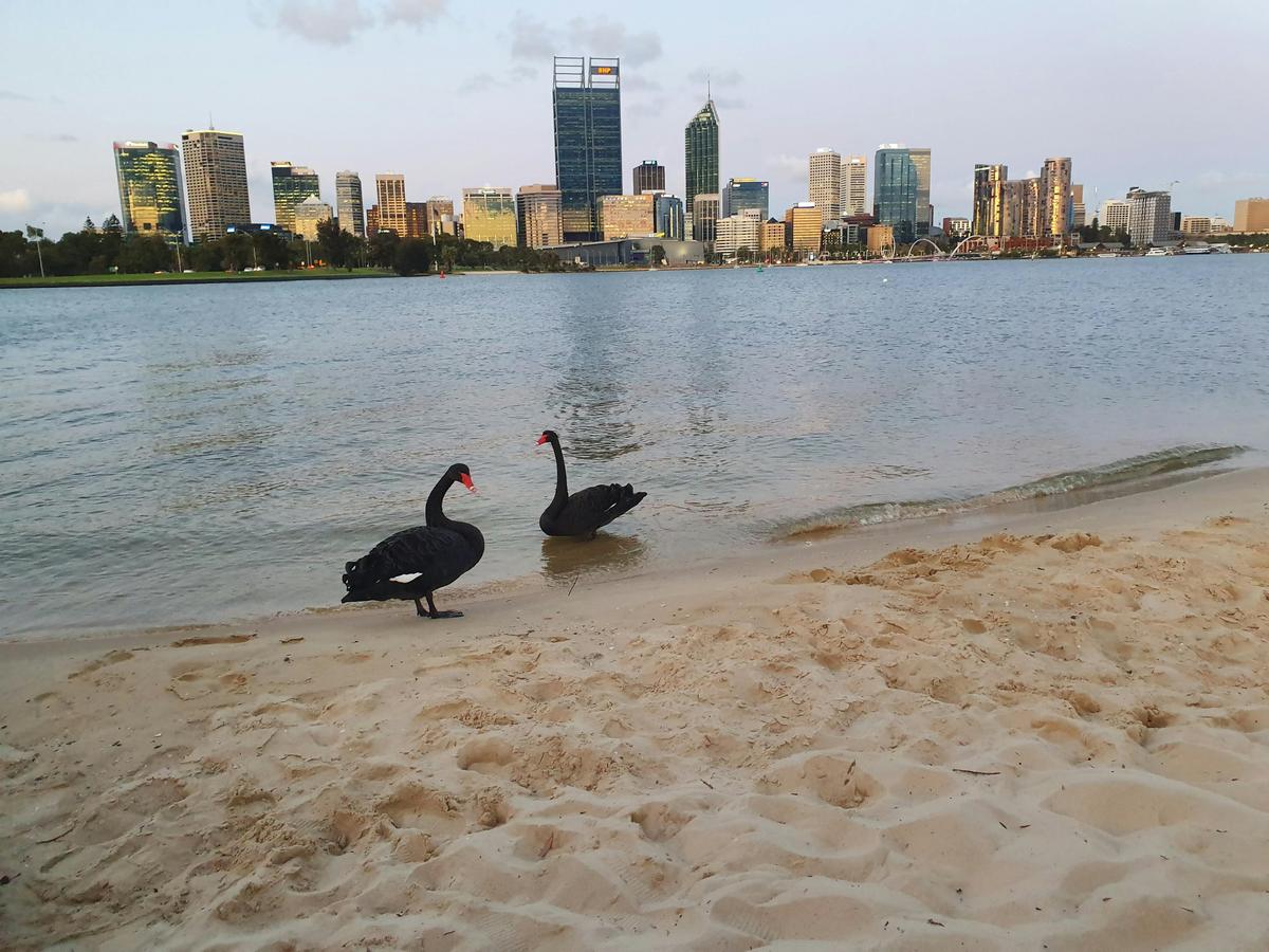Perth: Evening City Lights Kayak Tour with a complimentary wine