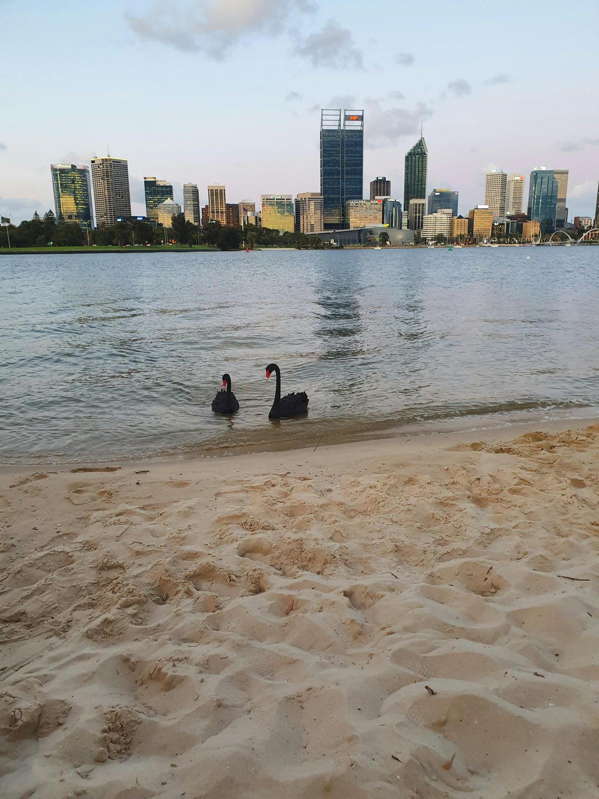 Perth: Evening City Lights Kayak Tour with a complimentary wine