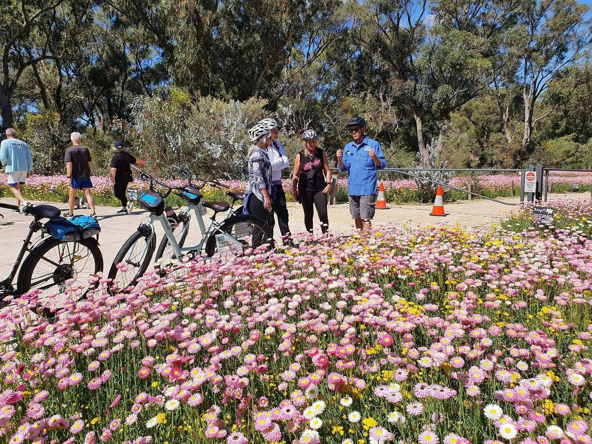 Pedals & Petals – Discovering Wildflowers Bike Tour Kings Park