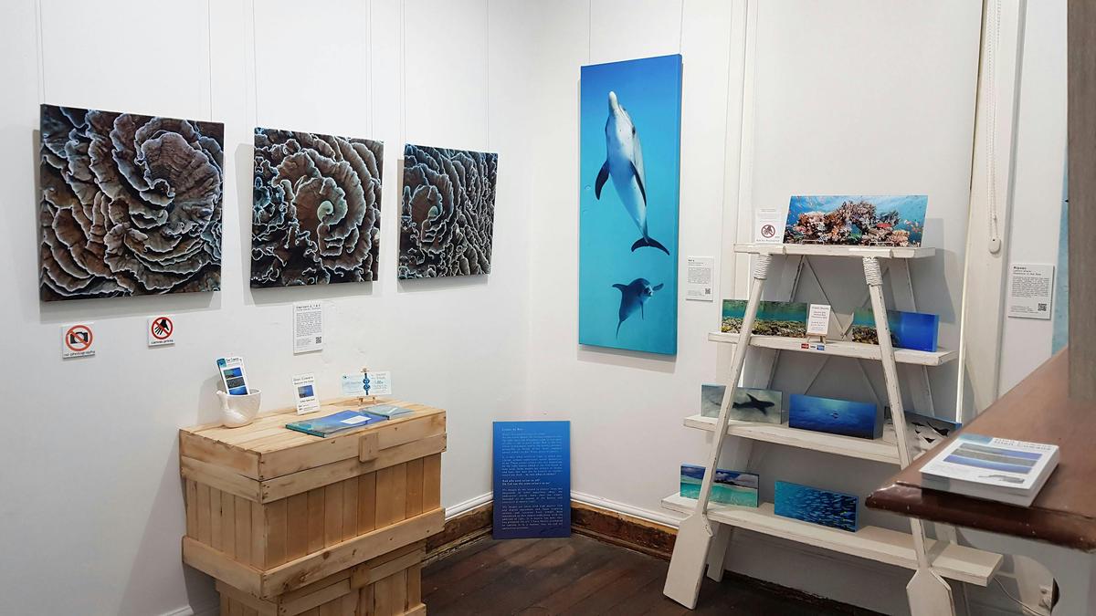 Gallery Two