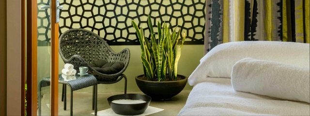 Spa Anise - Spicers Vineyards Estate