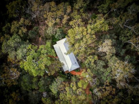 Forest Bath Chalet - 1 Bedroom