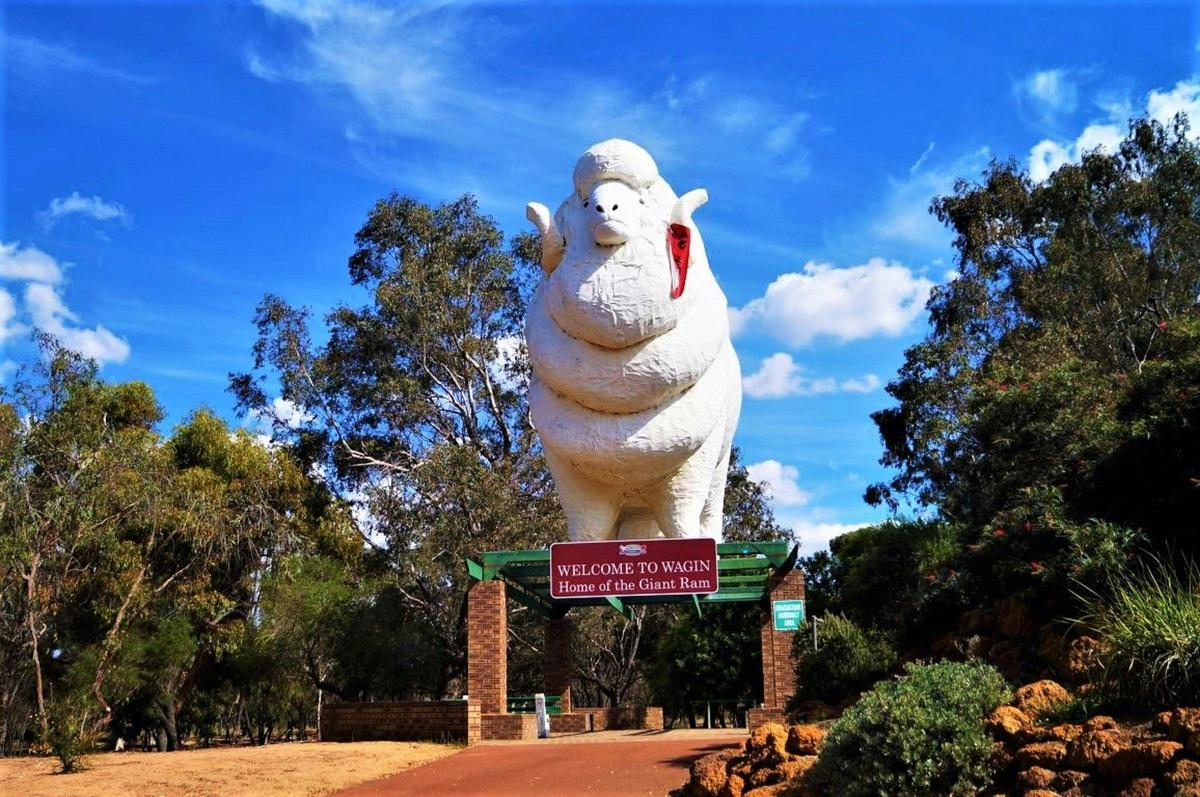 Giant Ram Tourist Park, Wagin, Western Australia
