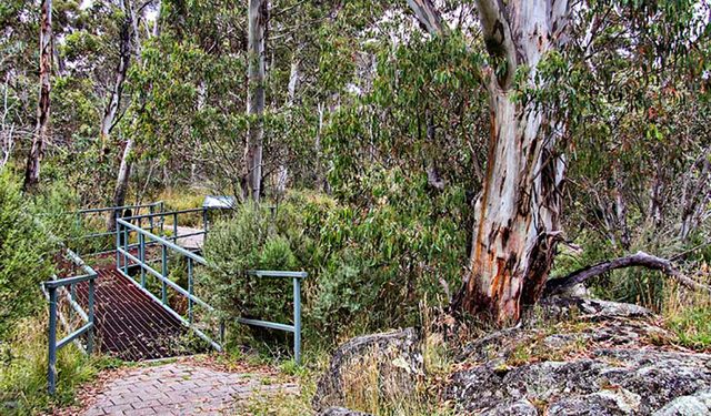 Sawpit Walking Track