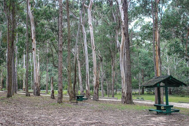 Scrubby Creek Rest Area, East Boyd State Forest