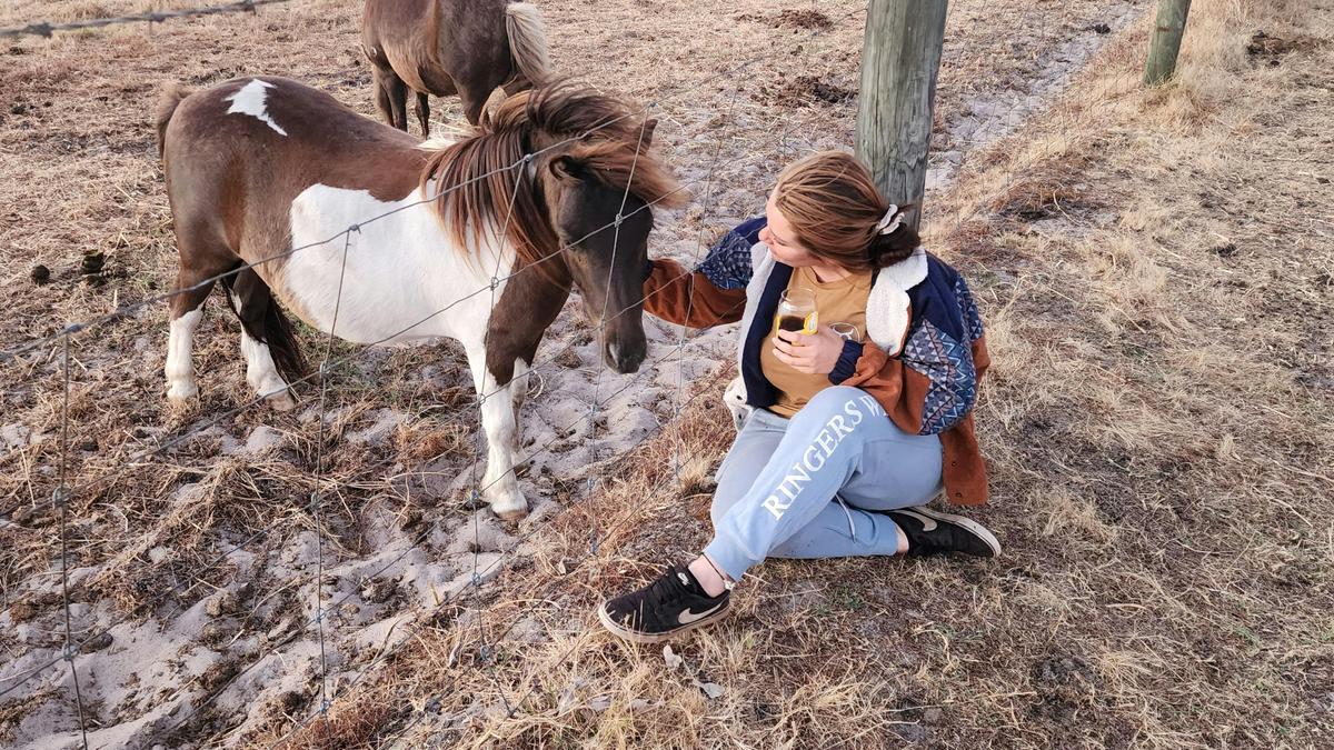 Everything Horses
