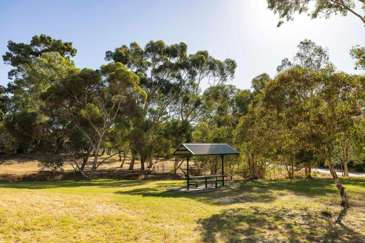 Peace Park, Greenmount