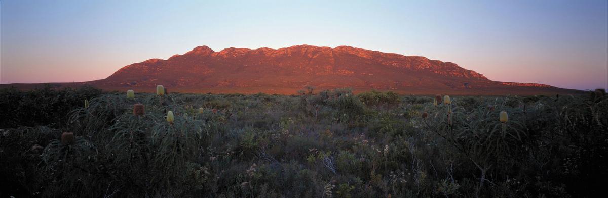 Cape Arid National Park, Esperance, Western Australia