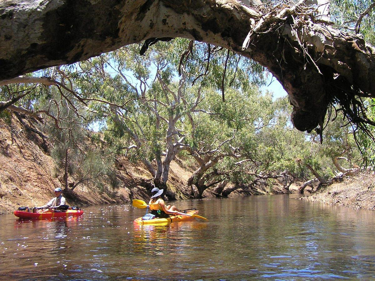 Kayaking along the Greenough River