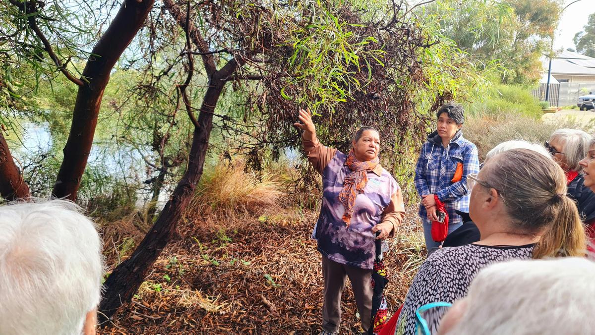 Bushtucker Tour