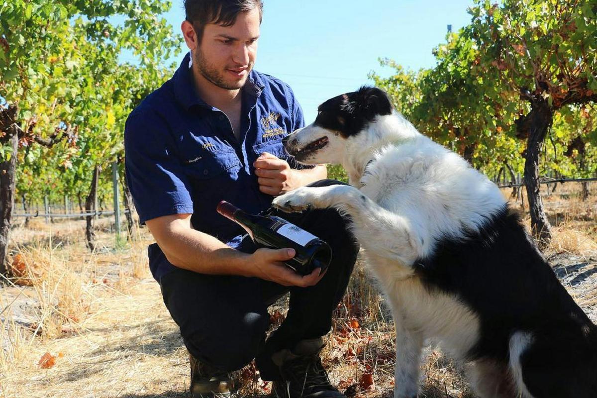 Garbin Estate Wines, Middle Swan, Western Australia