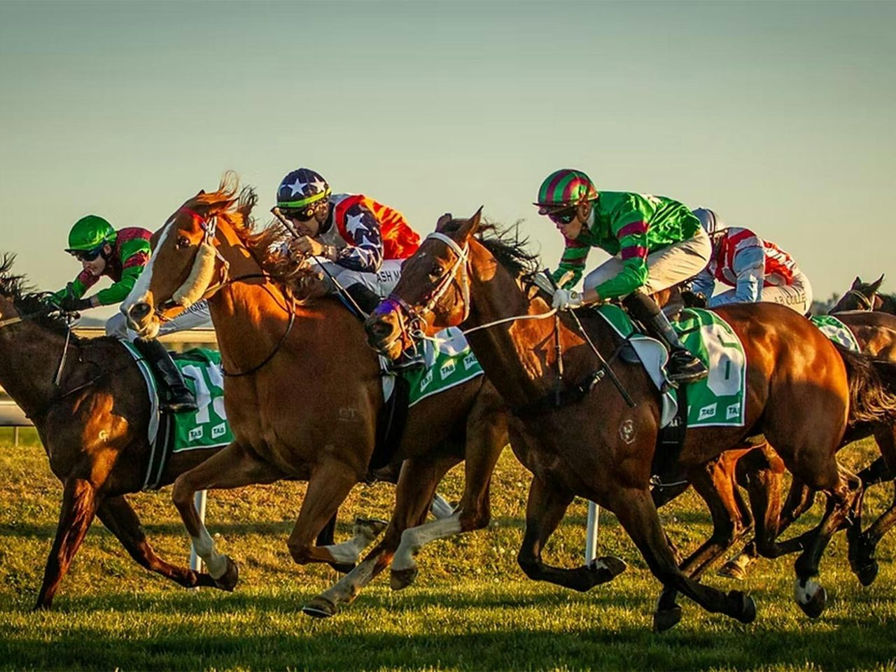 Bathurst Thoroughbred Racing