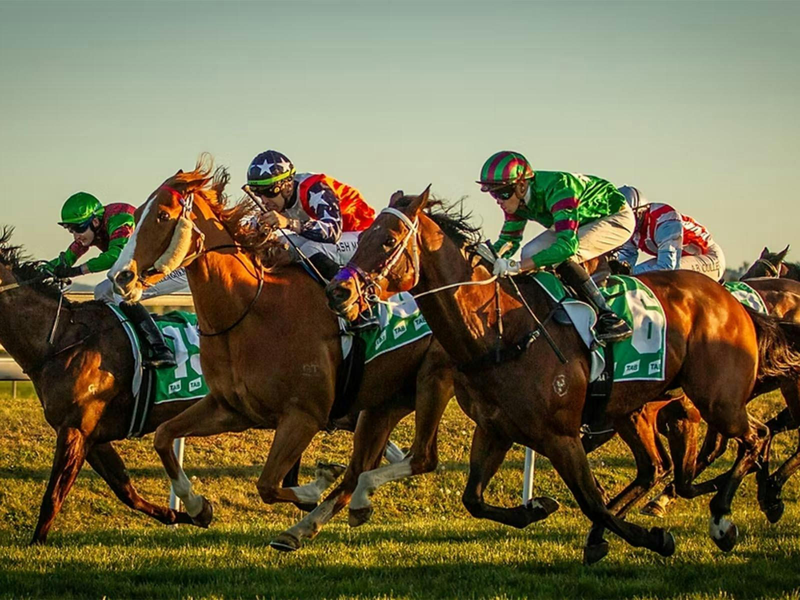 Bathurst Thoroughbred Racing
