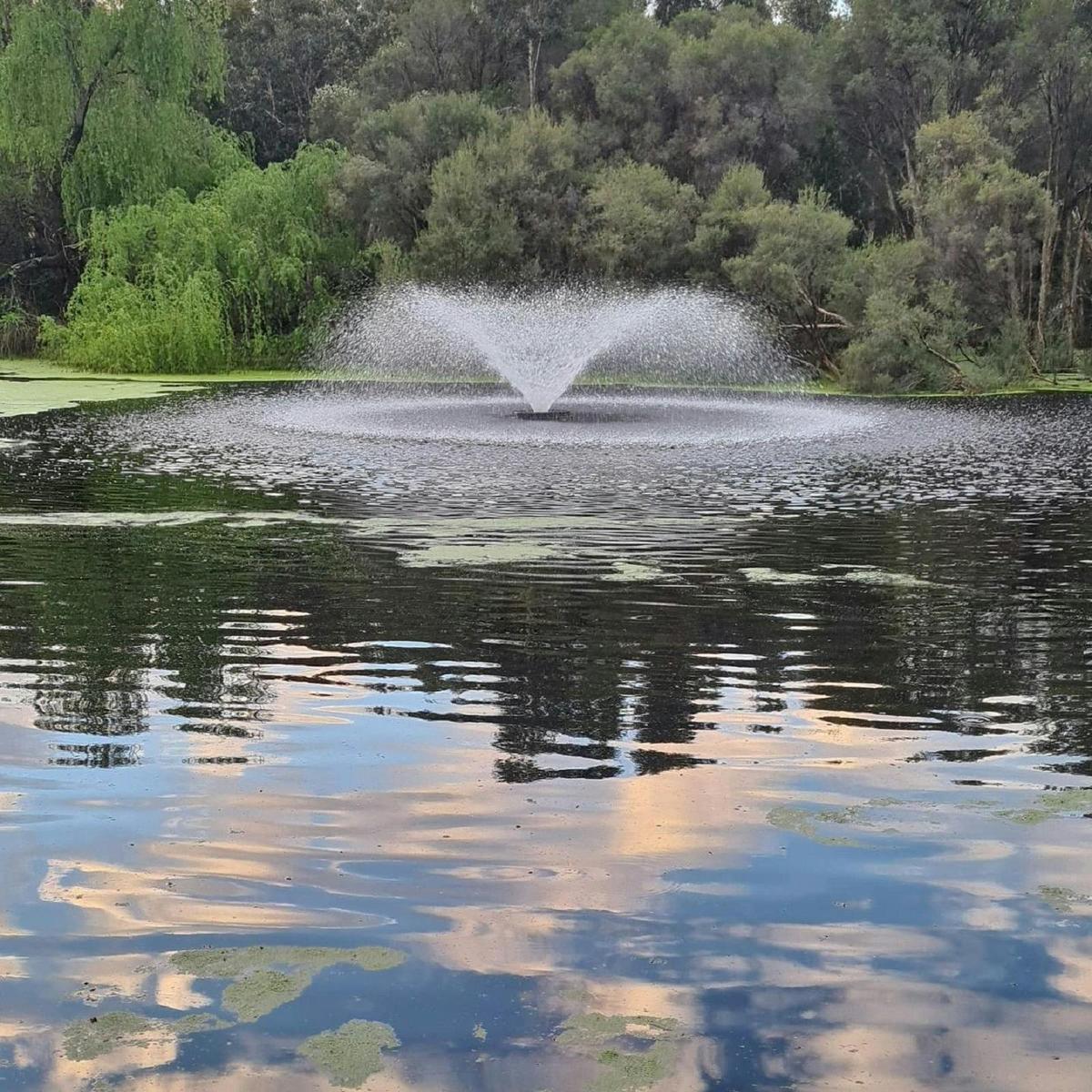 Hyde Park, Highgate, Western Australia