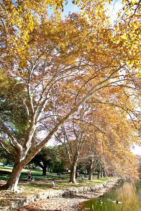 Hyde Park