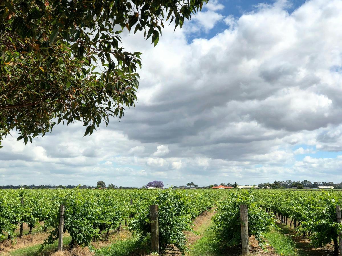 Scenic view of Jarrah Ridge