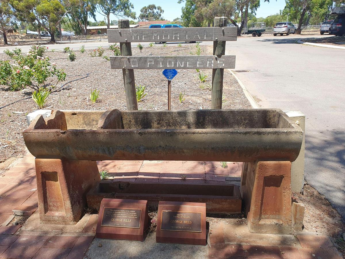 Horse Watering Trough Merredin