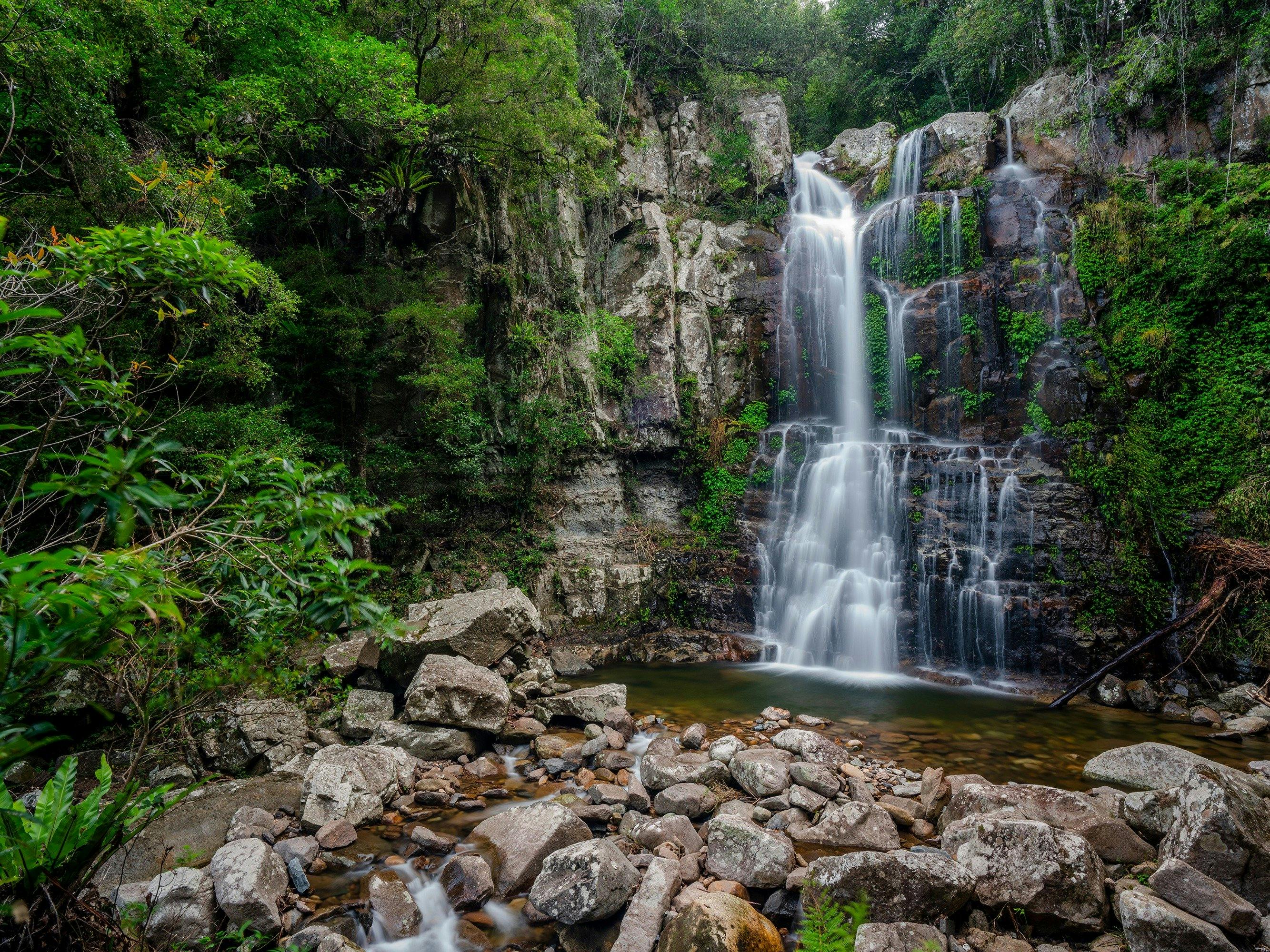 The Falls walk weaves through Minnamurra Rainforest, offering beautiful views of Minnamurra Falls.