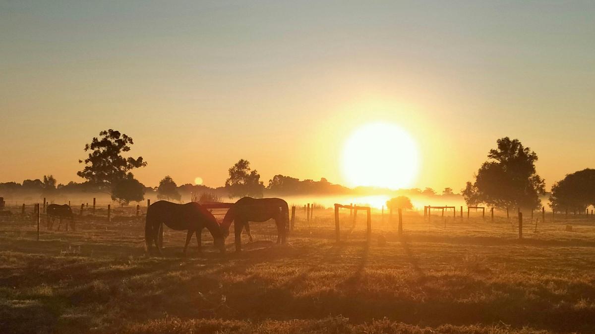 Freedom Farmstay