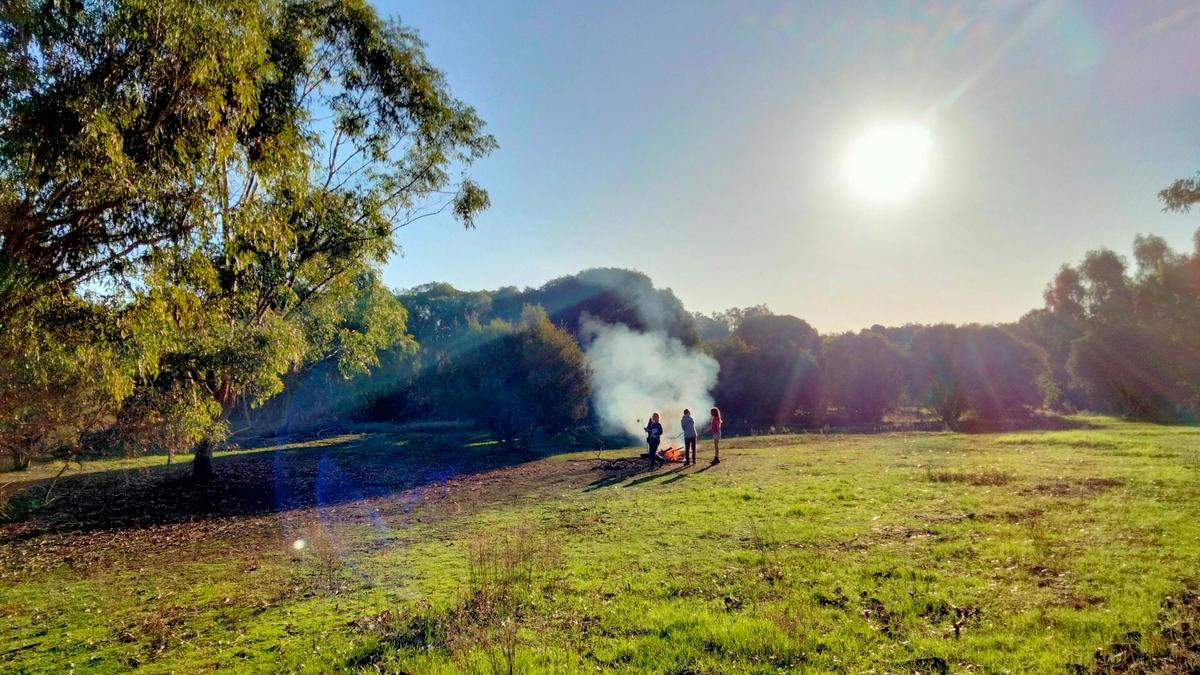 Freedom Farmstay
