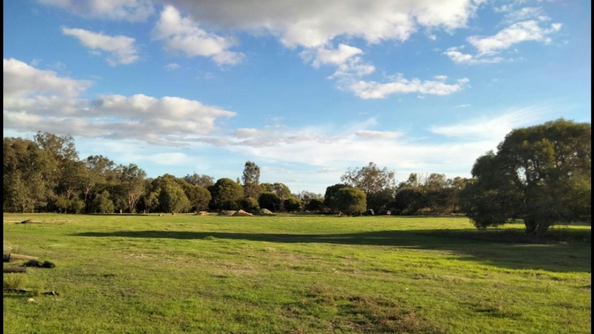 Freedom Farmstay