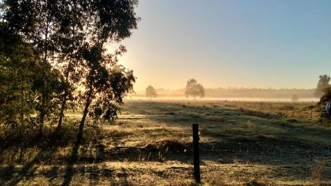 Freedom Farmstay
