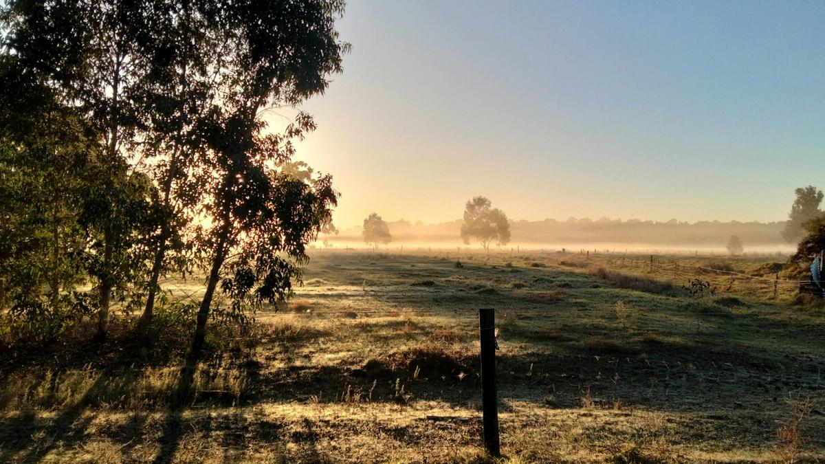Freedom Farmstay