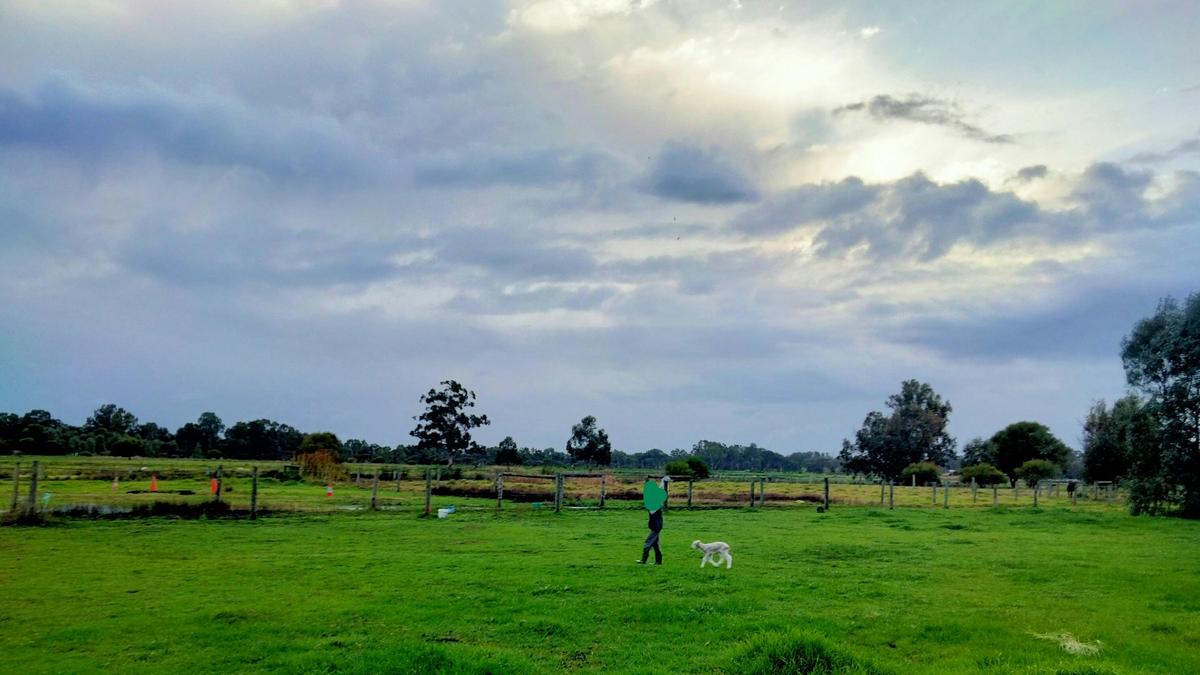 Freedom Farmstay