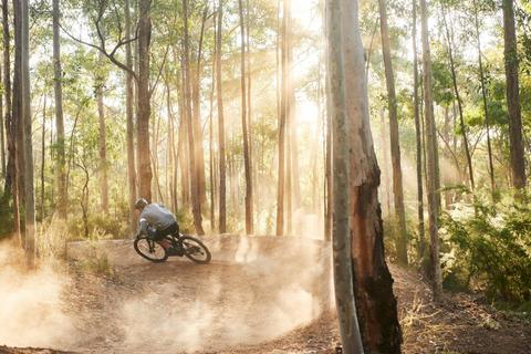 Shoalhaven Mountain Bike Trails - South Coast United Mountainbikers (SCUM)