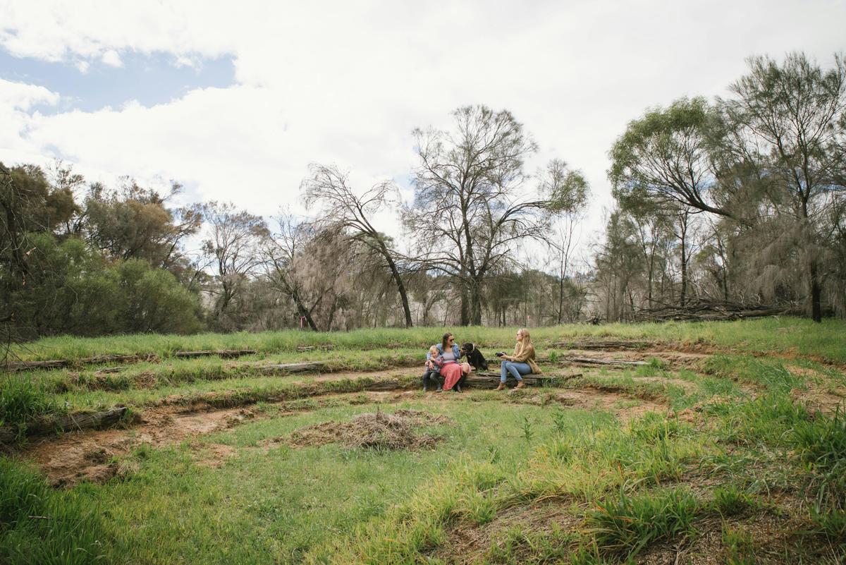 Experience the beauty of the bush in this peaceful natural amphitheatre.