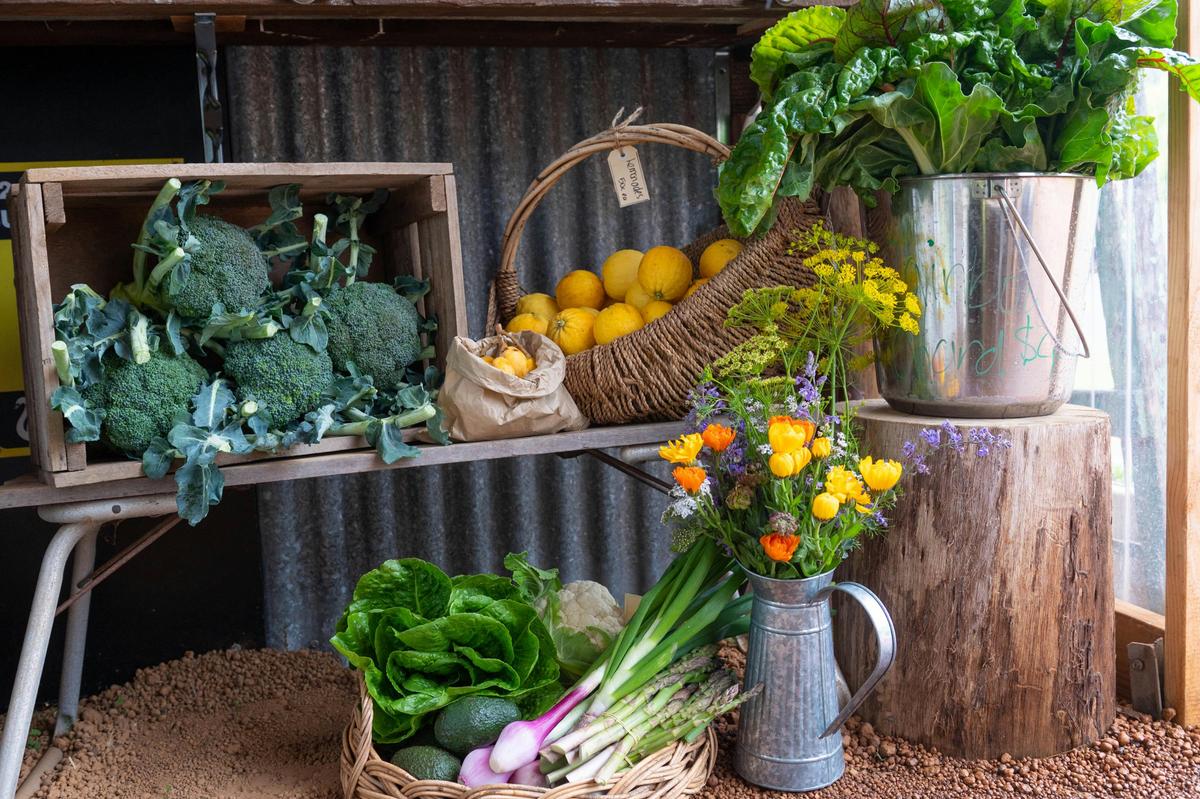 Farm Shop fresh veggies