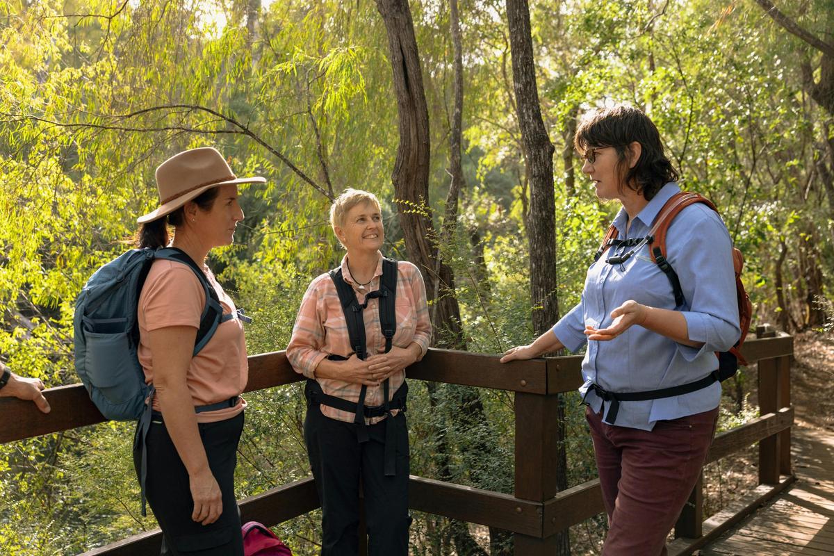 Collie Wildflower Experience