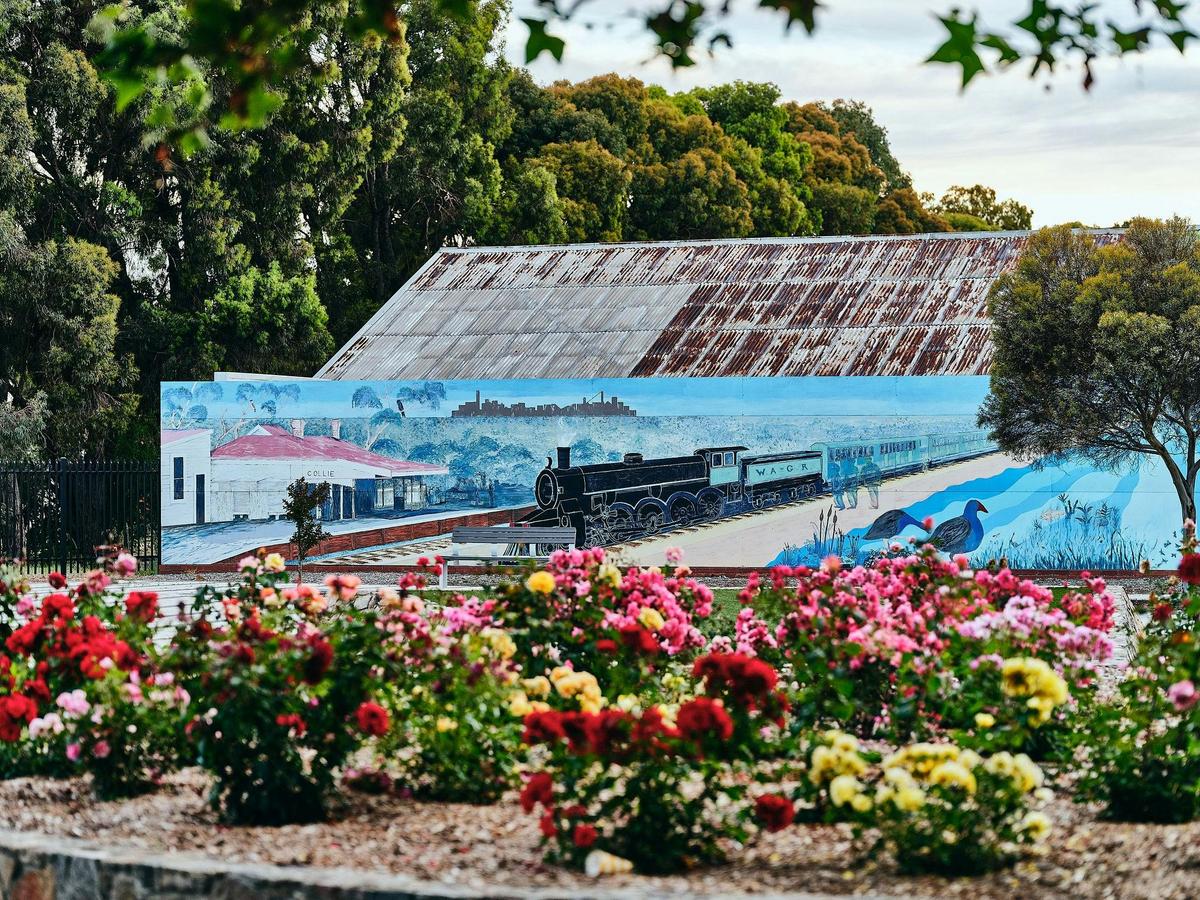 Collie Mural Town Tour
