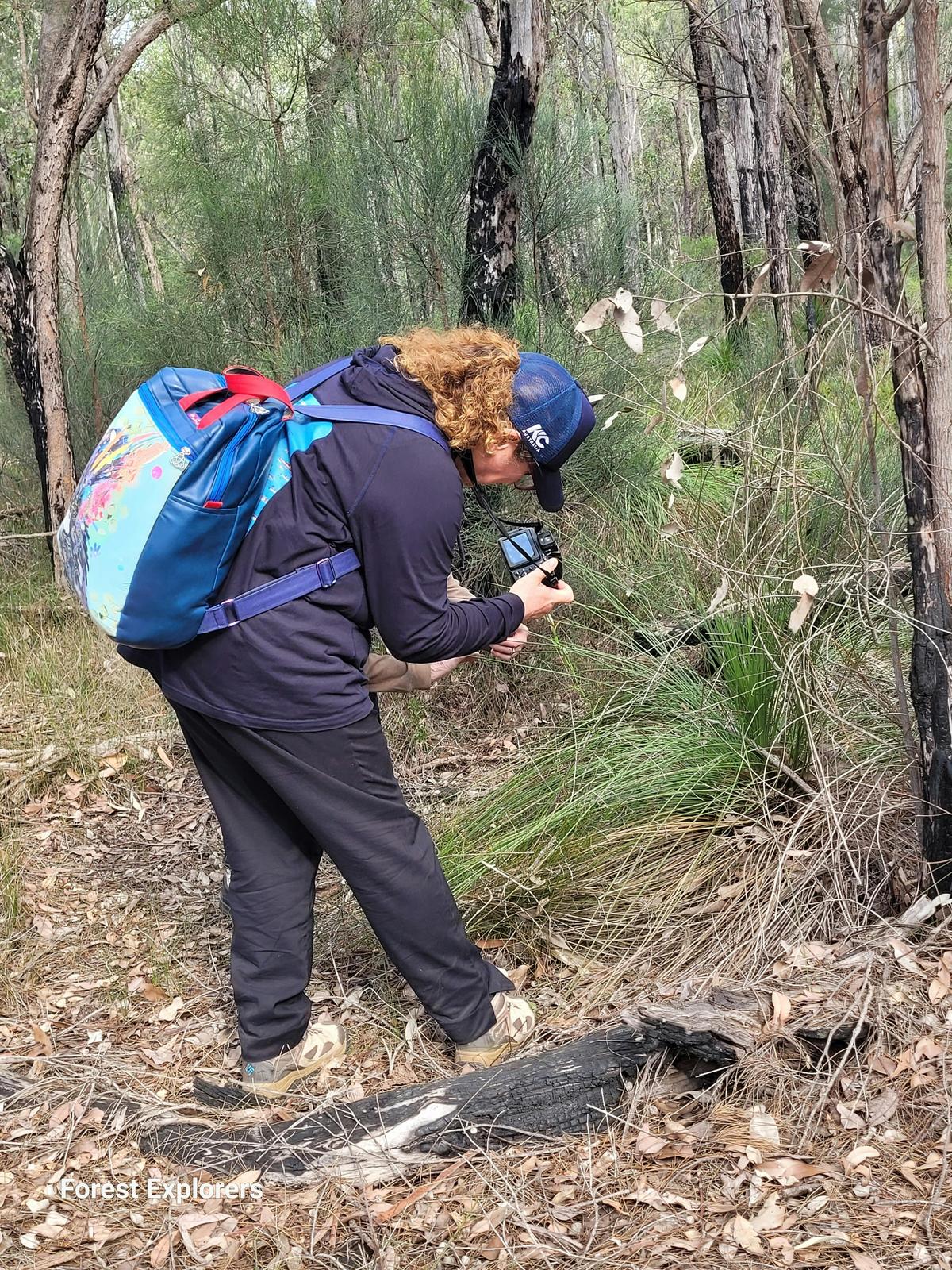 Collie Wildflower Experience