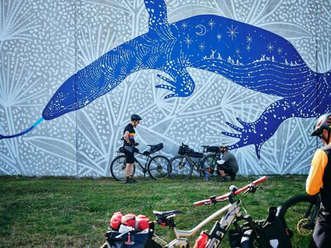 Collie Mural Town Tour