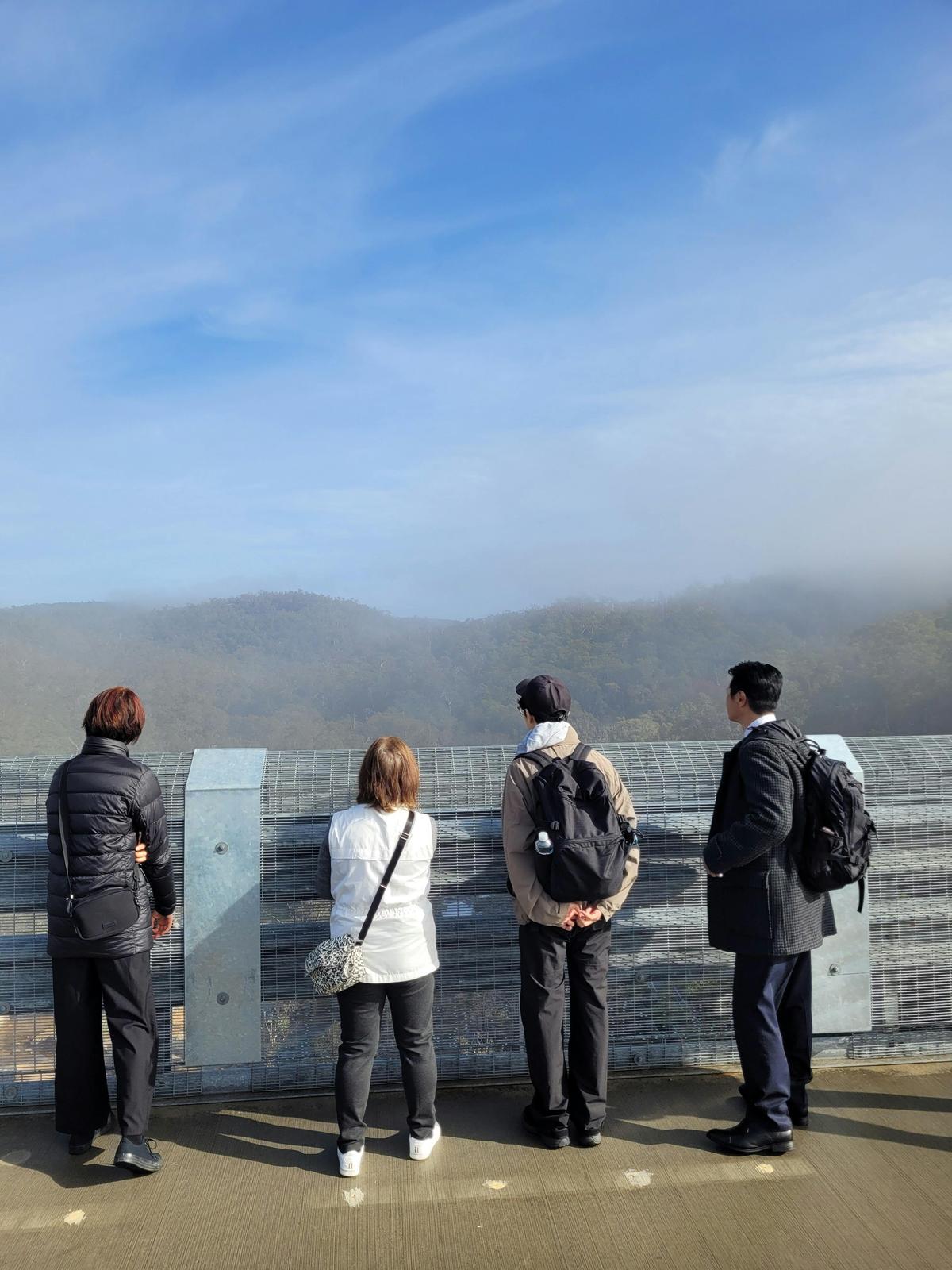 Wellington Dam Mural